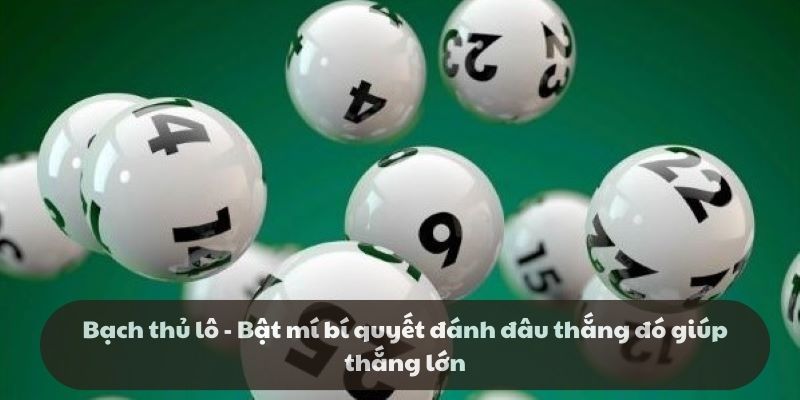 Bạch thủ lô - Bật mí bí quyết đánh đâu thắng đó giúp thắng lớn